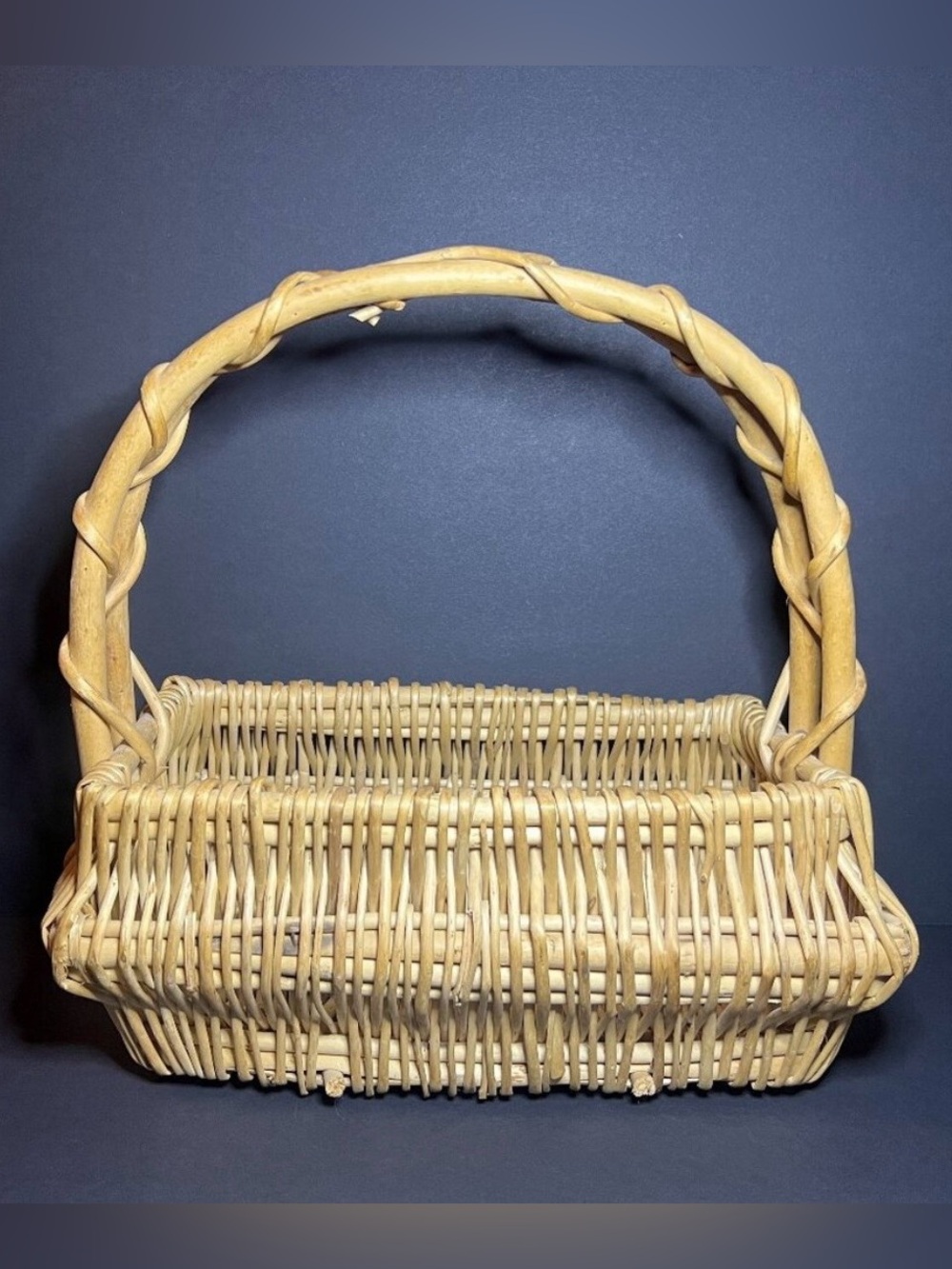 Boho Natural Tan Woven Wicker Reed Grapevine Rectangular Basket w/ Handle 11"